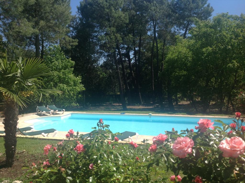 Le Clos Des Cigales Roussillon en Isere Oda fotoğraf